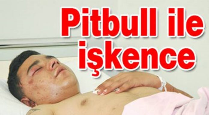 Pitbull’lu İşkence !