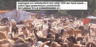 Onların Karınlarını Doyurmak !