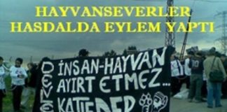 Hasdal Çöplüğü’nde Köpek Eylemi Yaptılar !