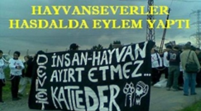 Hasdal Çöplüğü’nde Köpek Eylemi Yaptılar !