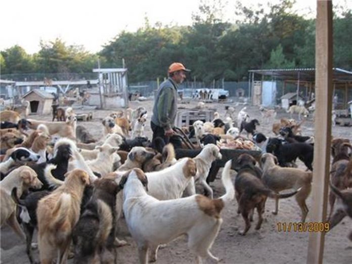 22kasim2009_sopengazibarinagi_bayrammsji02