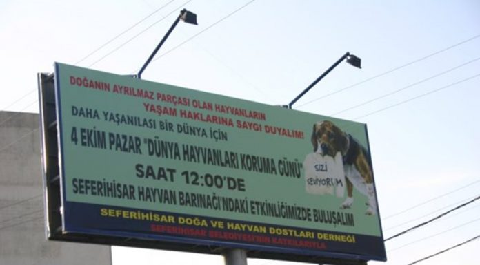 Seferihisar Girişinde ve Her Tarafta Sehayder Afişleri !
