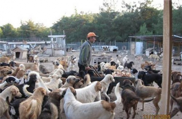 22kasim2009_sopengazibarinagi_bayrammsji02