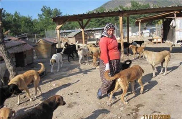 22kasim2009_sopengazibarinagi_bayrammsji03