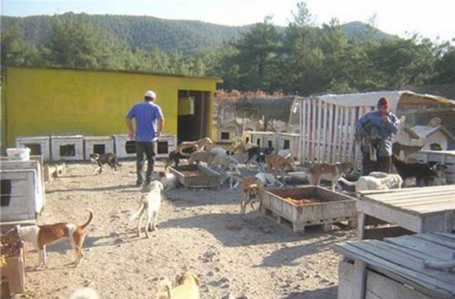 22kasim2009_sopengazibarinagi_bayrammsji08