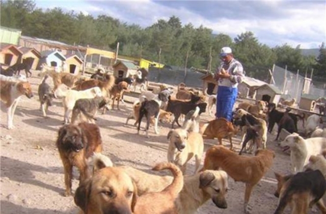 22kasim2009_sopengazibarinagi_bayrammsji09
