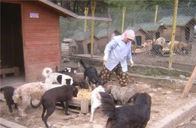 22kasim2009_sopengazibarinagi_bayrammsji12