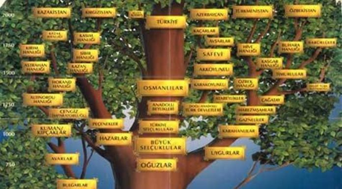 Yakın Doğu ve Asya’da Kurulan Türk İslam Devletleri